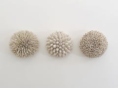 « Tidepool Trio », installation murale contemporaine composée de sculptures en porcelaine façonnées à la main