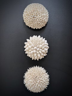 « Tidepool Trio », installation murale contemporaine composée de sculptures en porcelaine façonnées à la main