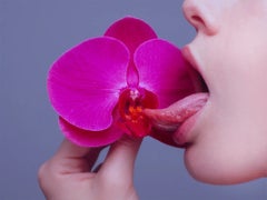 Orquídea - Fotografía artística de edición limitada