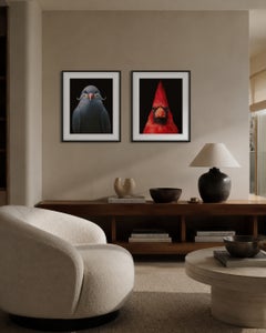 Cardinal rouge