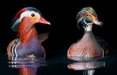 Canard à la mandarine