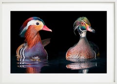Canard à la mandarine