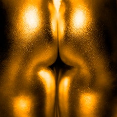 Epona, Gold Series - Limited Edition Fine Art Photography