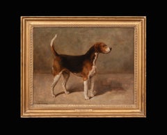 „Pytchley Potentate“ – Ein preisgekrönter Foxhound, 19. Jahrhundert, Cuthbert Bradley (1861–1943)
