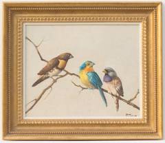 Finches on a Branch
