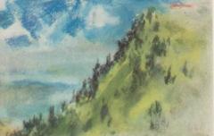 Trees on a Mountainside