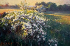 May Blossom - The Peak District