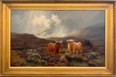 Brume des Highlands