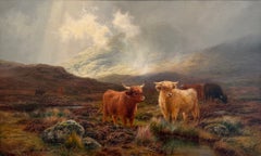 Brume des Highlands