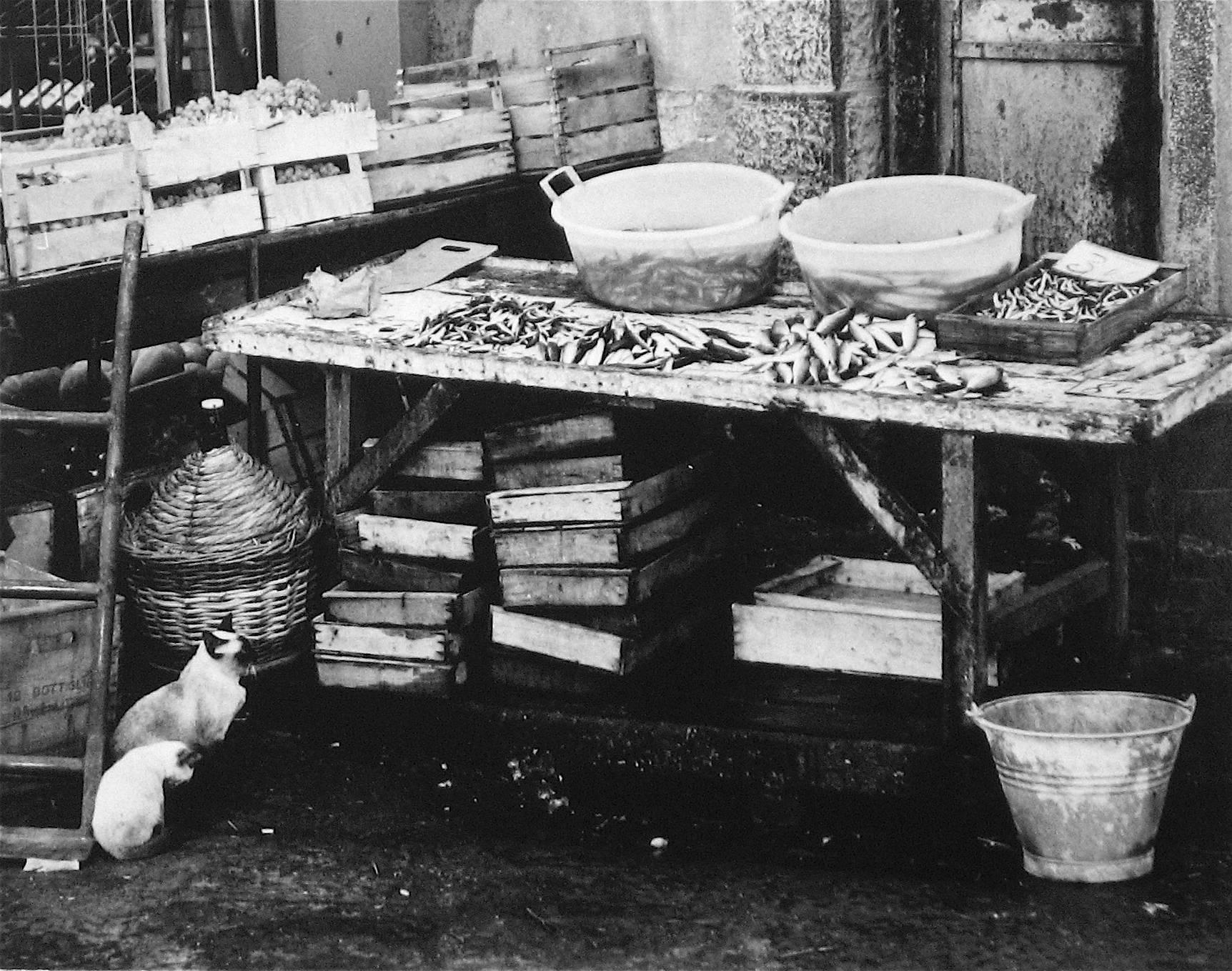 portuguese market san jose