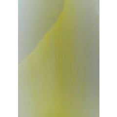 "Yellow & White" Mendocino, CA 1