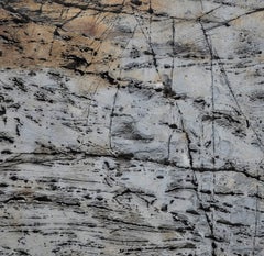 "Texture 3: Granite" Coastal Maine, Framed Photograph