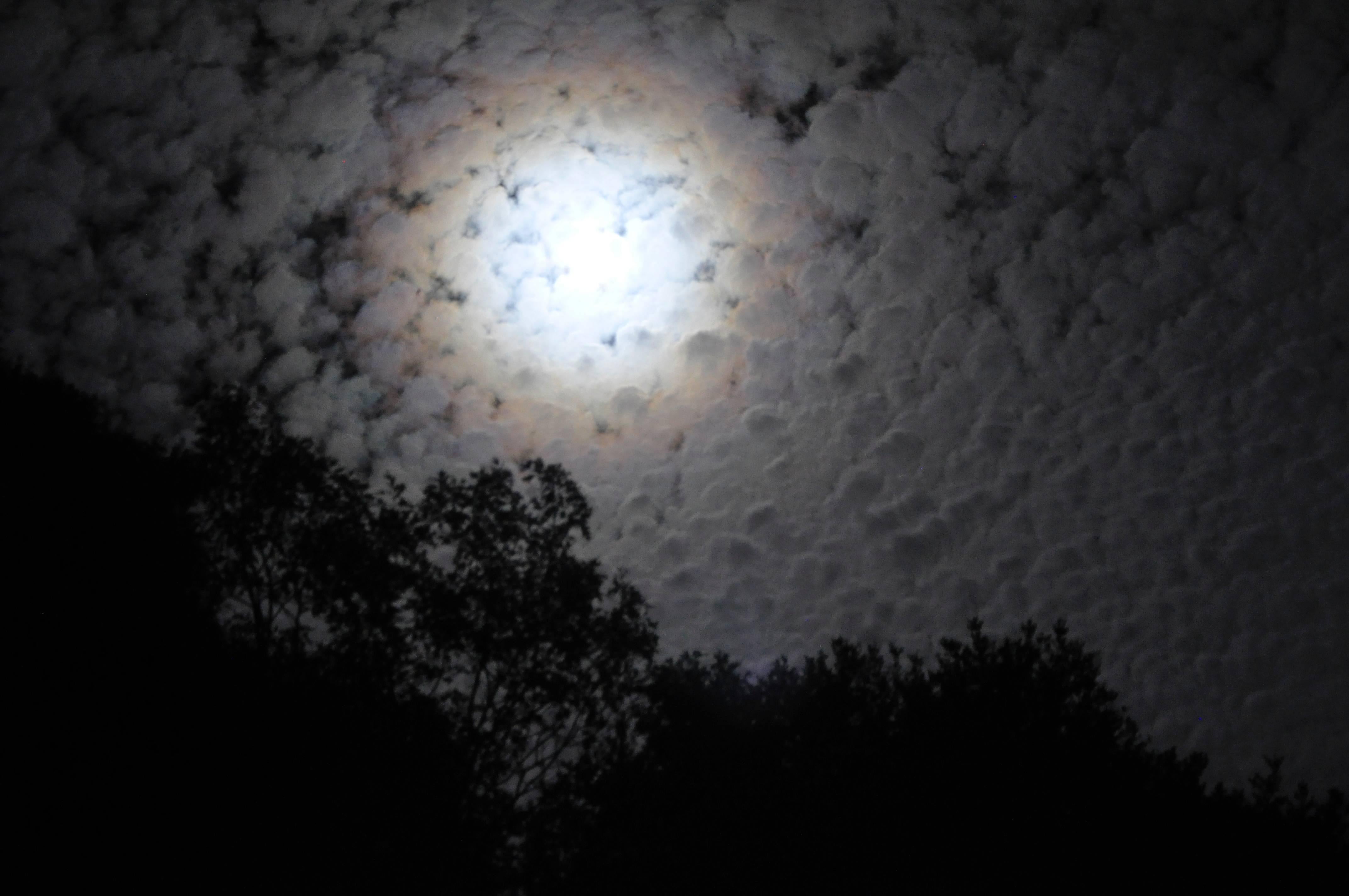 Gaétan Caron Landscape Photograph - "Clair de Lune (Moonlight)" Mendocino, CA Photograph, 2012