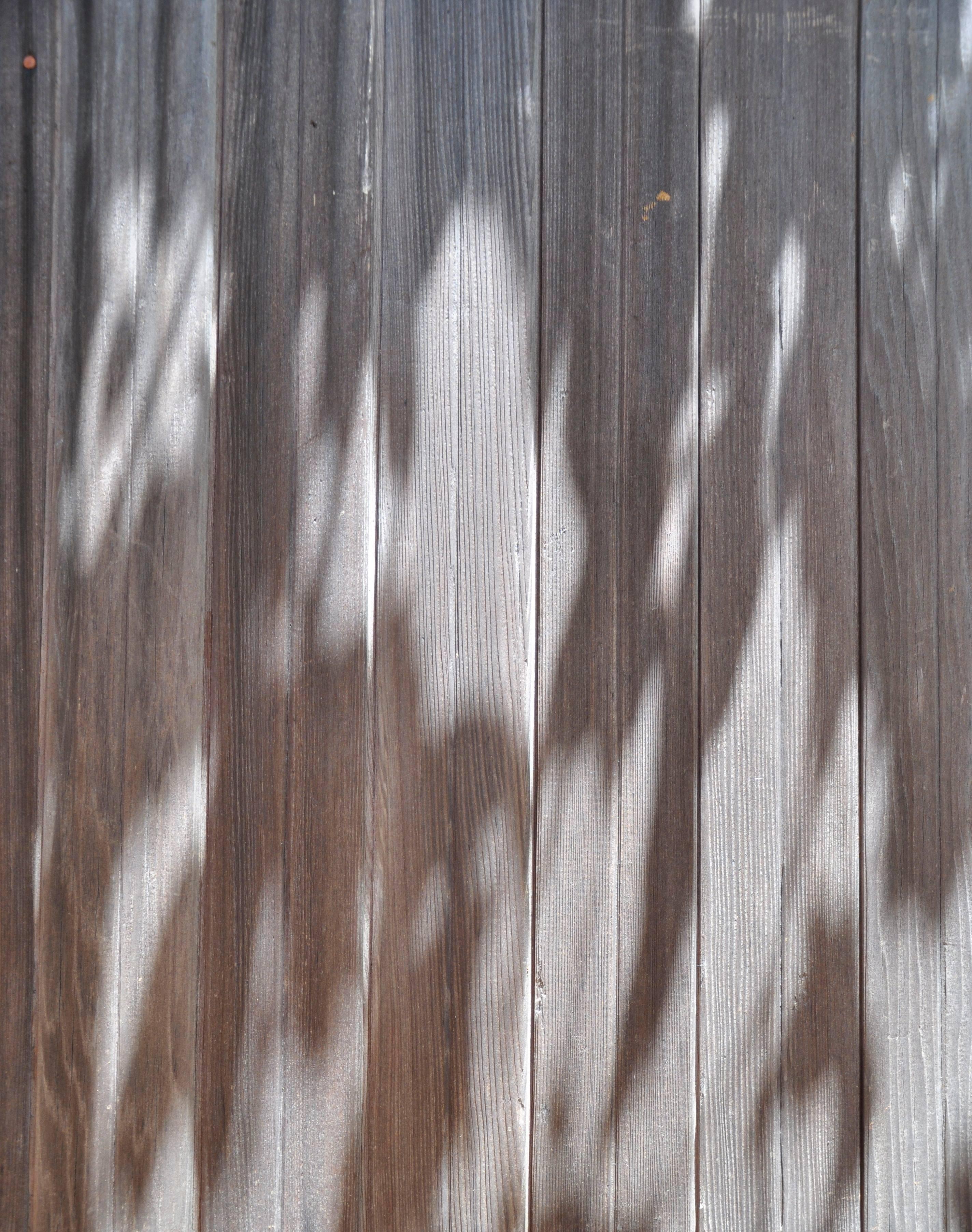 Abstract Photograph de Gaétan Caron - "Custodia (En lieu sur)", Mendocino, CA Fotografía, 2013