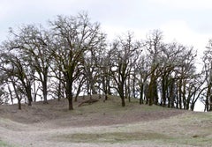 "Mountain Pose, Tadasana", Mendocino, Californie