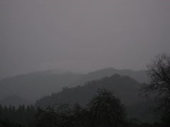 "Winter Dusk" Mendocino Mountains