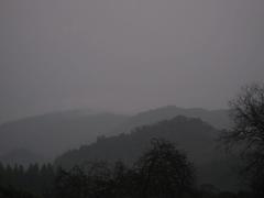 "Winter Dusk" Mendocino Mountains 1