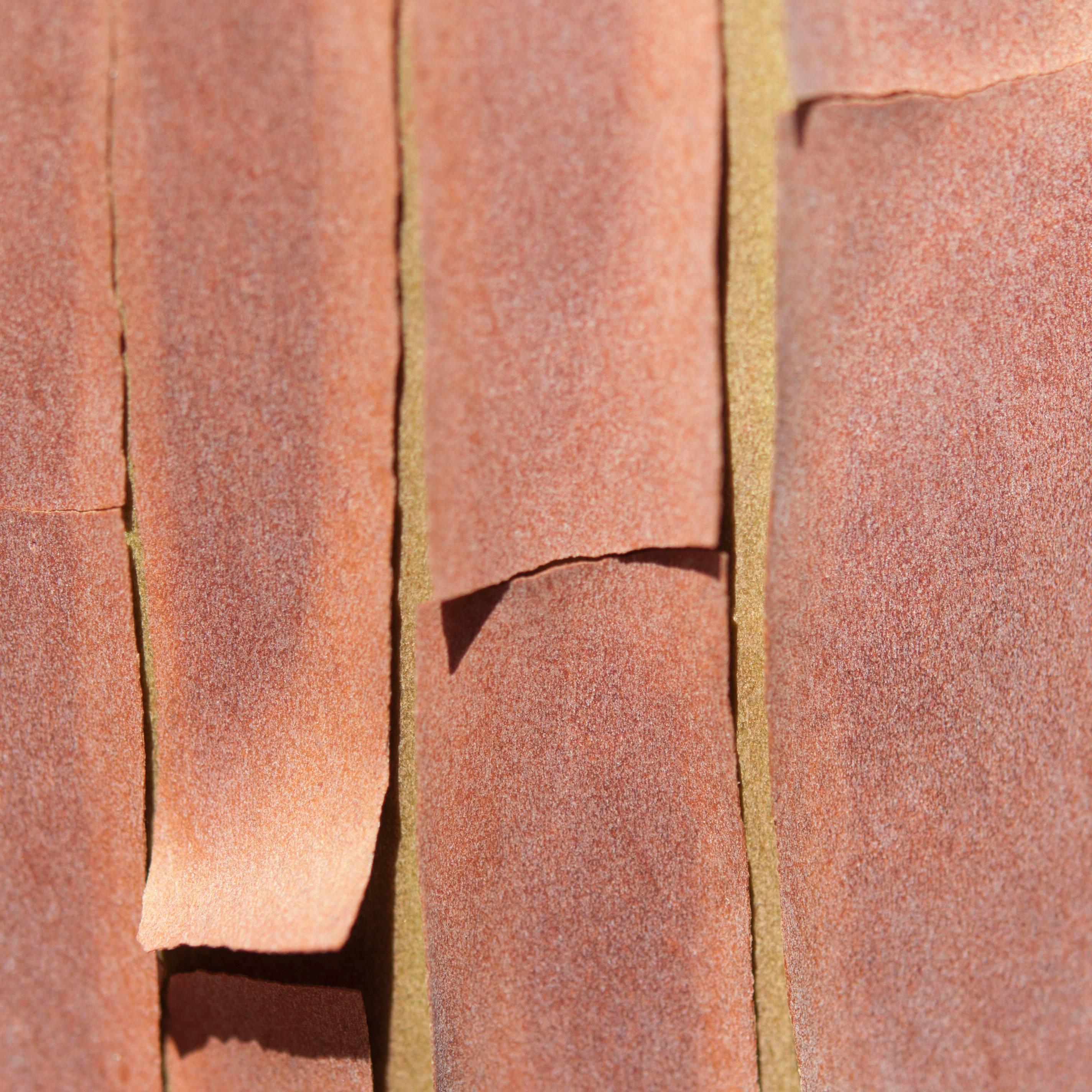 Gaétan Caron Color Photograph - "Texture 5: Madrone Bark" Mendocino, California