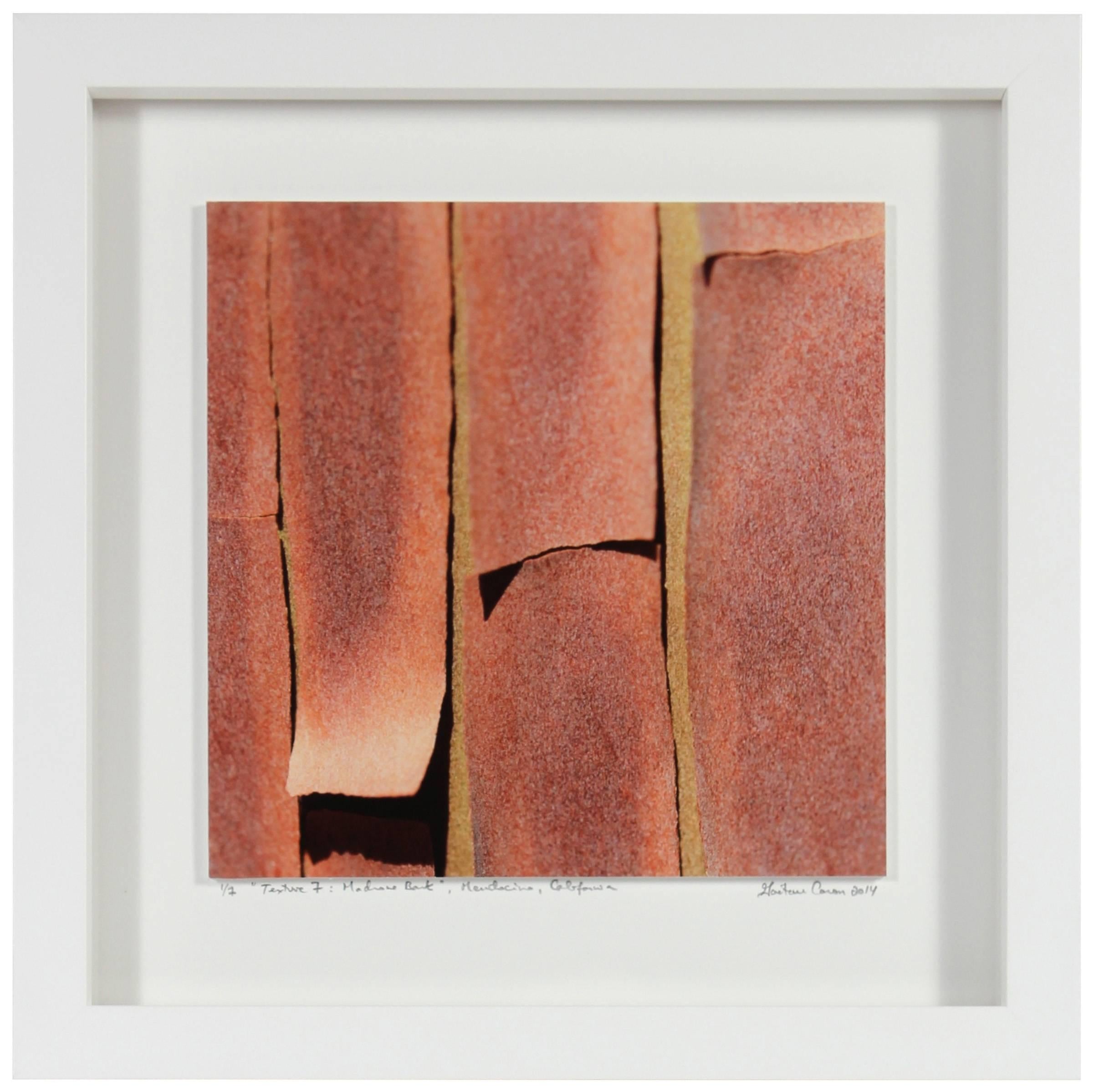 Gaétan Caron Abstract Photograph - "Texture 7: Madrone Bark" Mendocino, CA Photograph