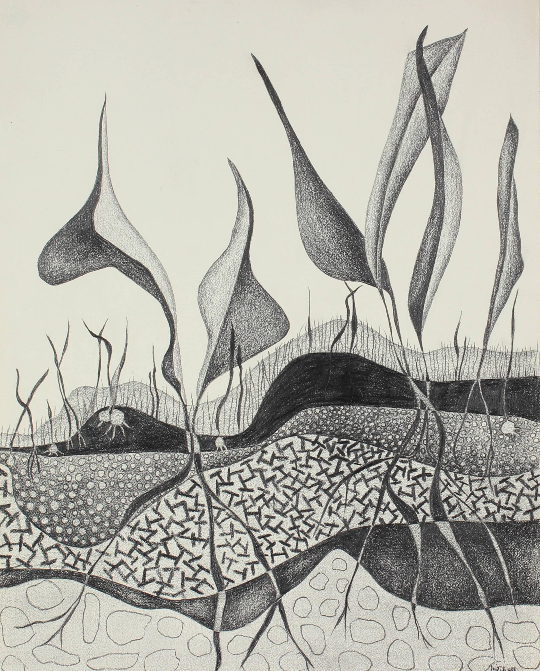 Jane Mitchell Abstract Drawing - Abstracted Plants in Graphite, Monochromatic Drawing, Circa 1975