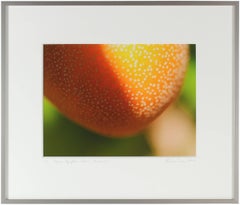 "Pyrus Pyrifolia Hosui" Asian Pear Color Photograph, 2012