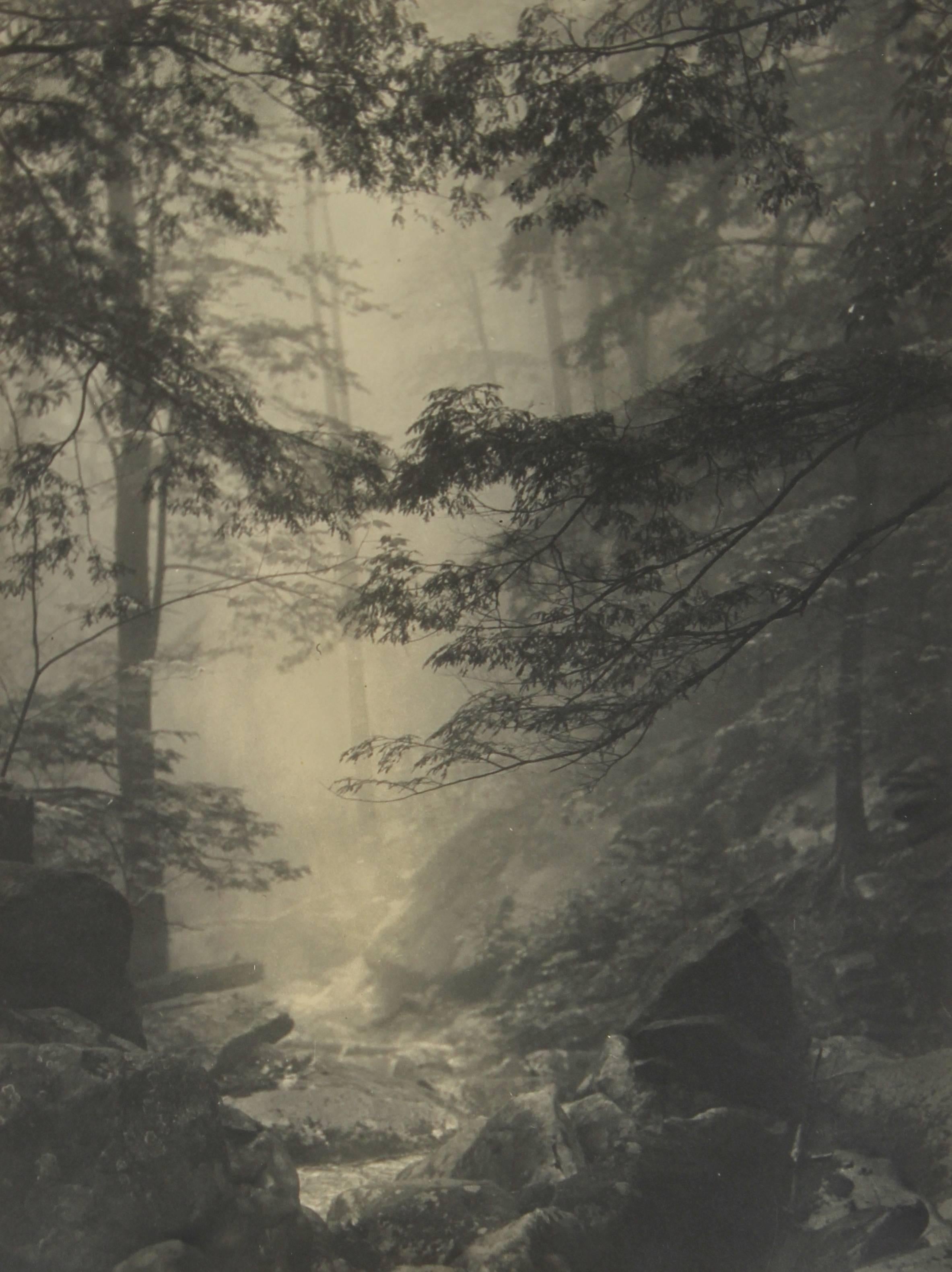This circa late 1920s silver gelatin photograph forest scene with fog, trees, and a stream is by Dr. F.W. Buraky, a member of the Chicago Camera Club.
The piece will be shipped in a mat to fit a standard sized frame.
