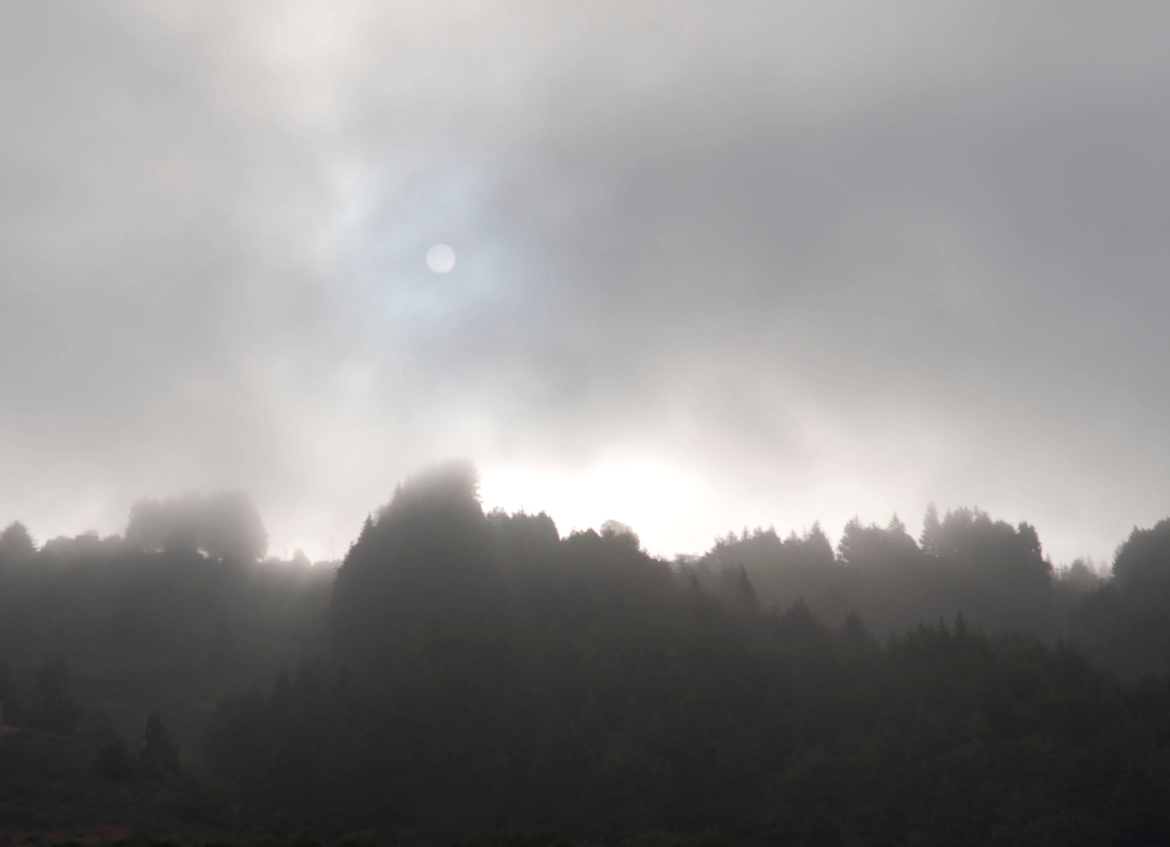 Gaétan Caron Landscape Photograph - "Early Morning Sun & Fog" Mendocino, CA