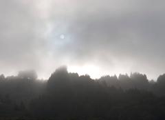 "Early Morning Sun & Fog" Mendocino, CA