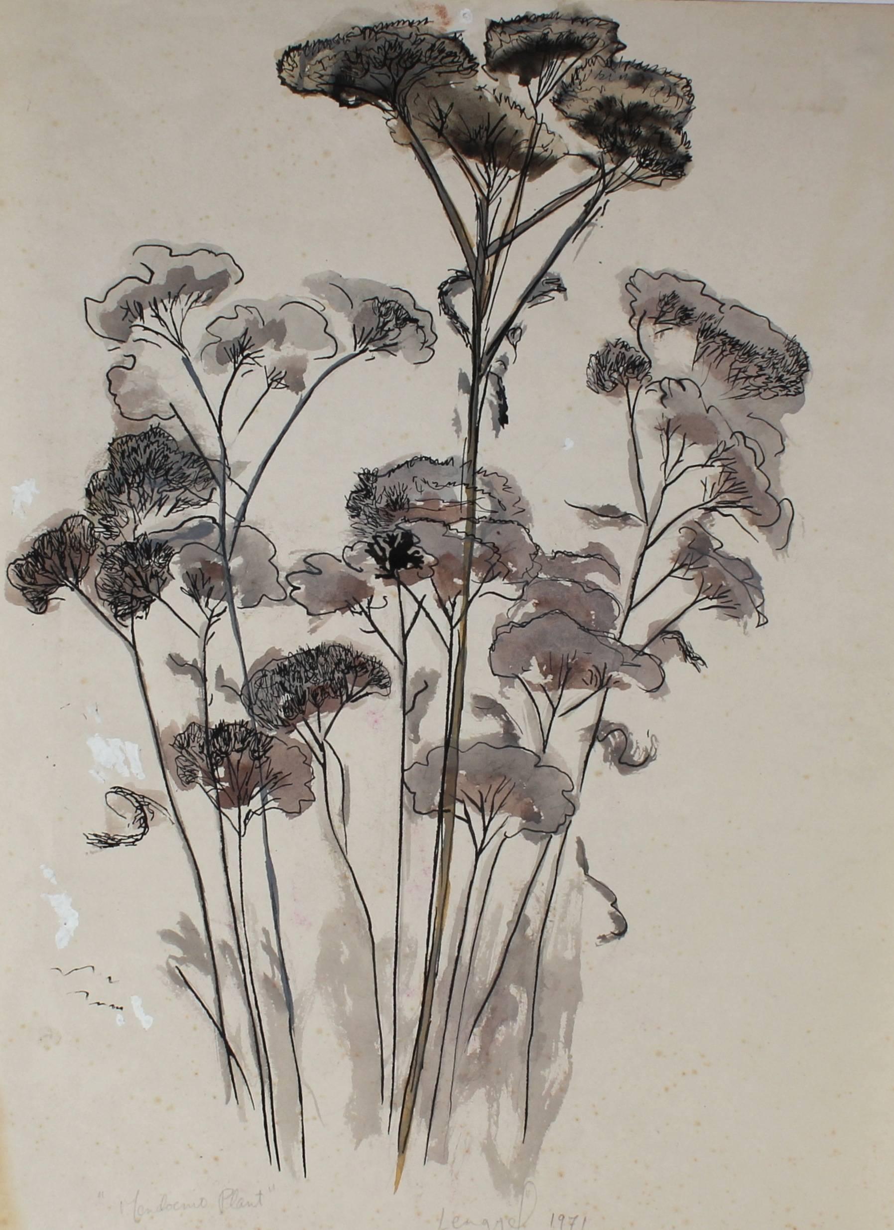 Laura Lengyel Still-Life - "Mendocino Plant" Ink and Watercolor Still Life, 1971