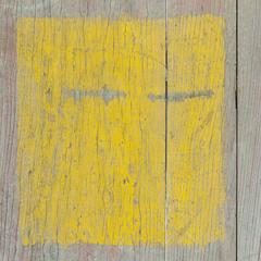 "Texture 6: Farmer's Gateway, Quin Dynasty China, Wood", Storm King, NY 8