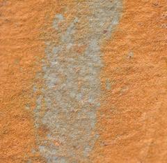 "Texture 2: Ochre" Coastal Maine Photograph 10