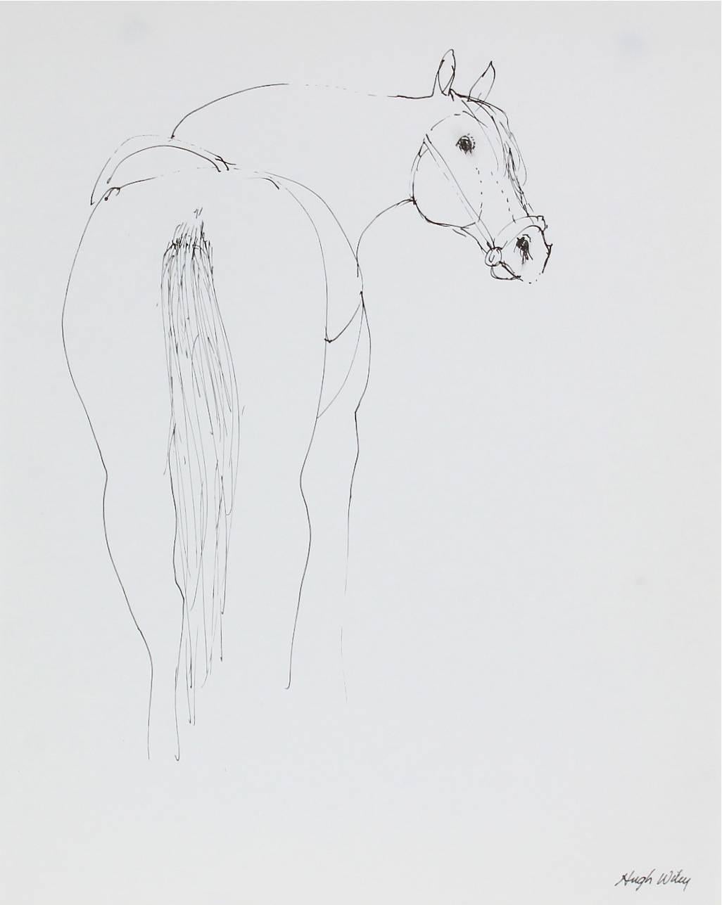 Hugh Wiley Animal Art - Study of a Horse