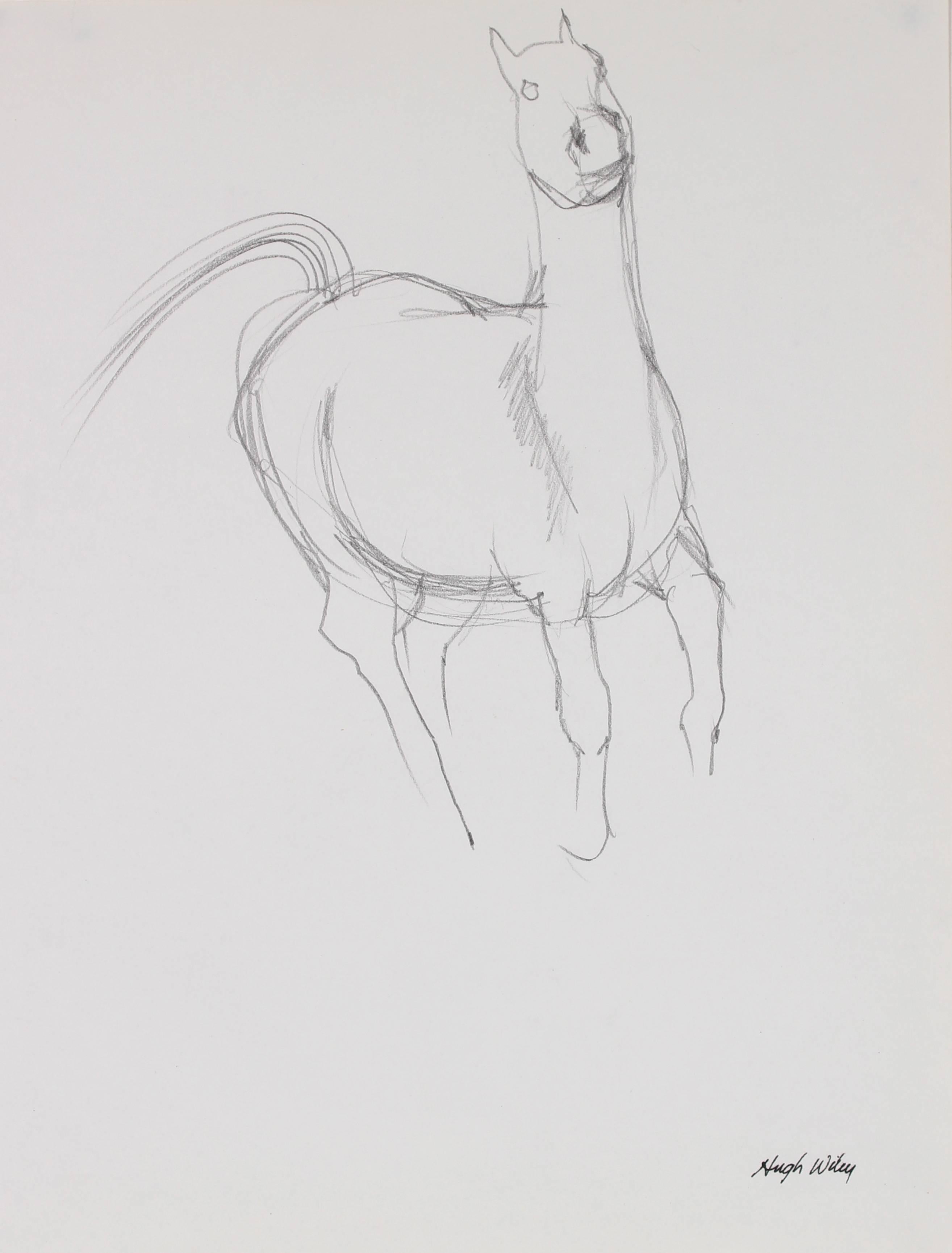 Hugh Wiley Animal Art - Study of a Horse in Graphite, 1974