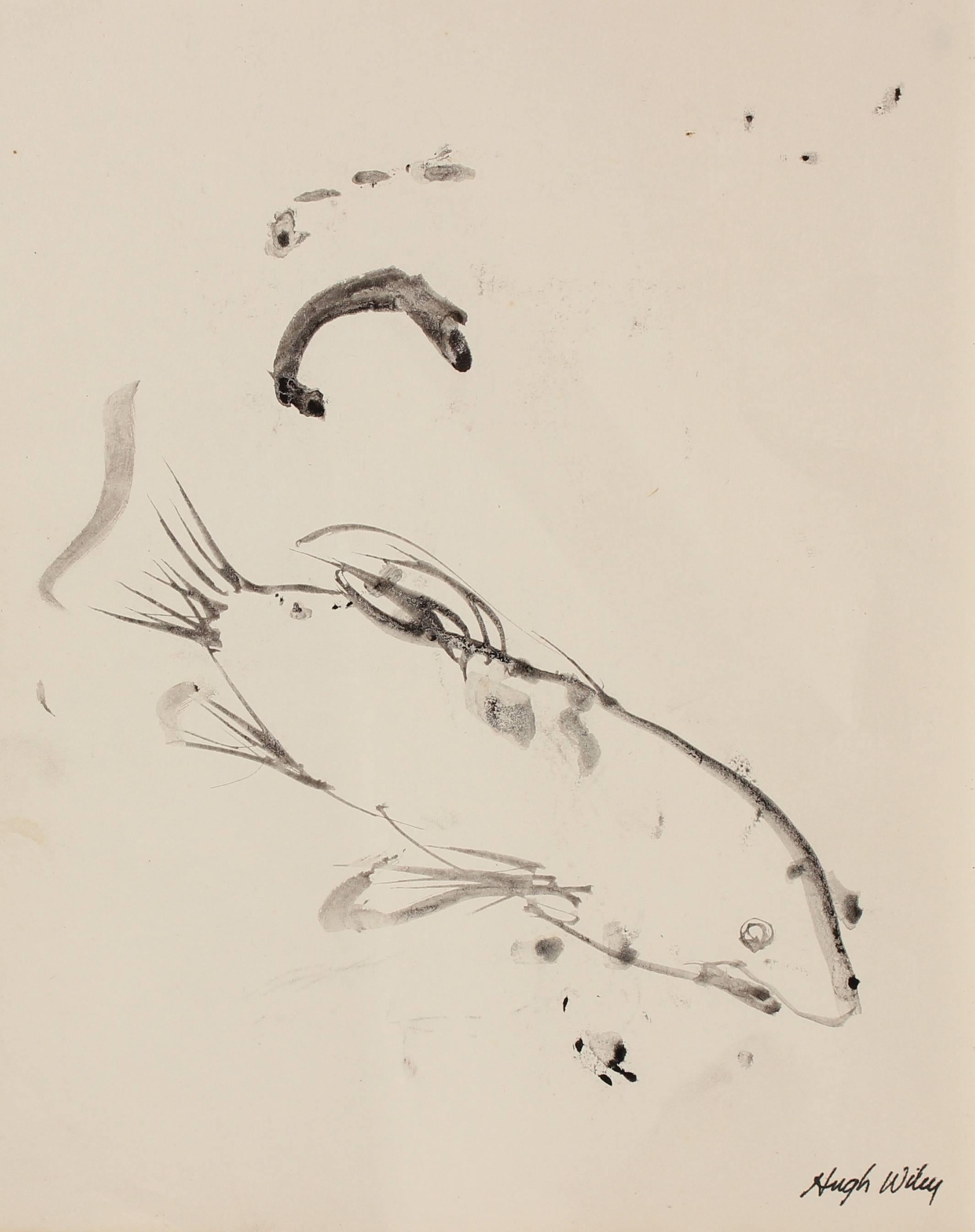Hugh Wiley Animal Art - Monochromatic Ink Drawing of a Fish, 1960