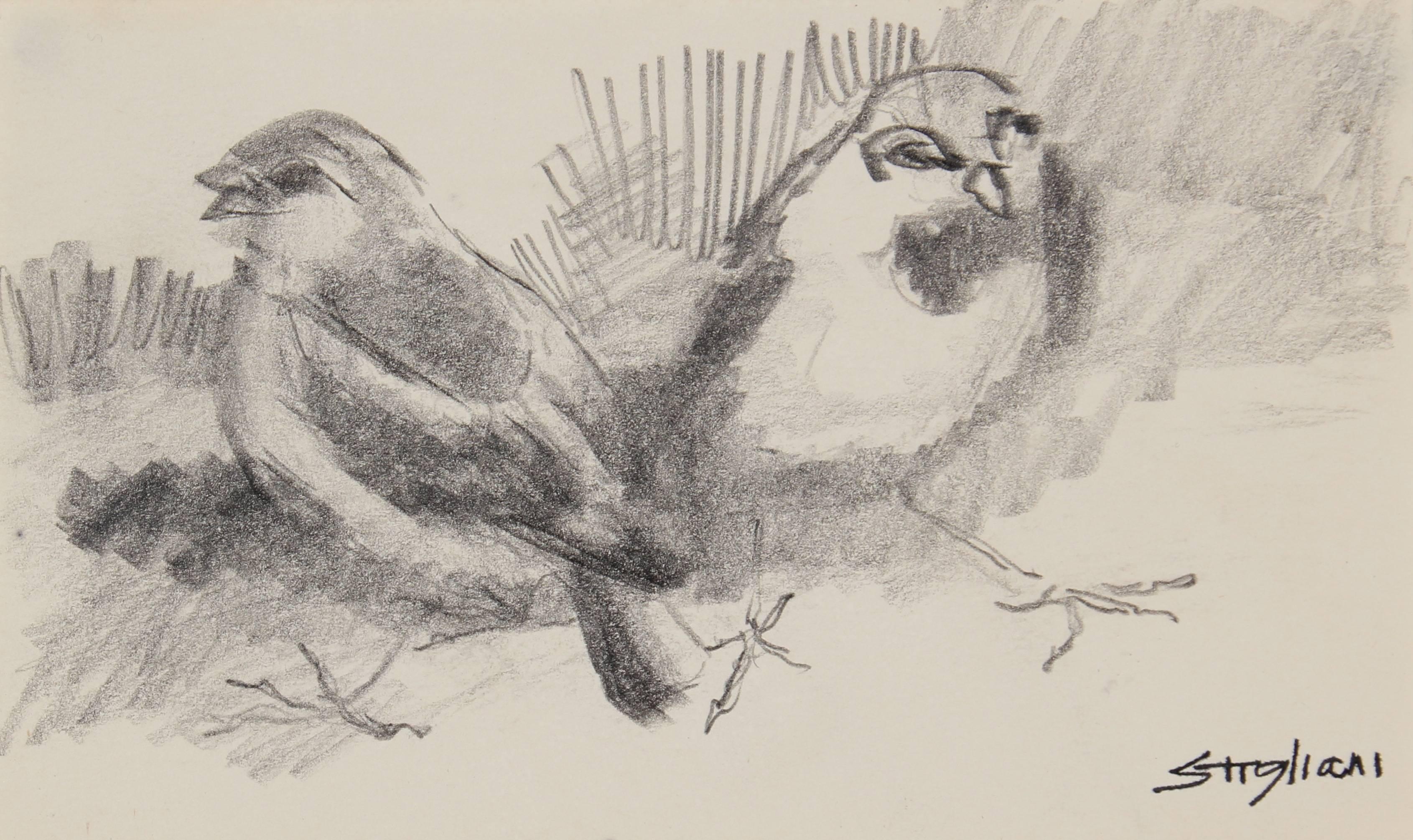 Pasquale Patrick Stigliani Animal Art - Small Birds in Graphite, New York City Drawing
