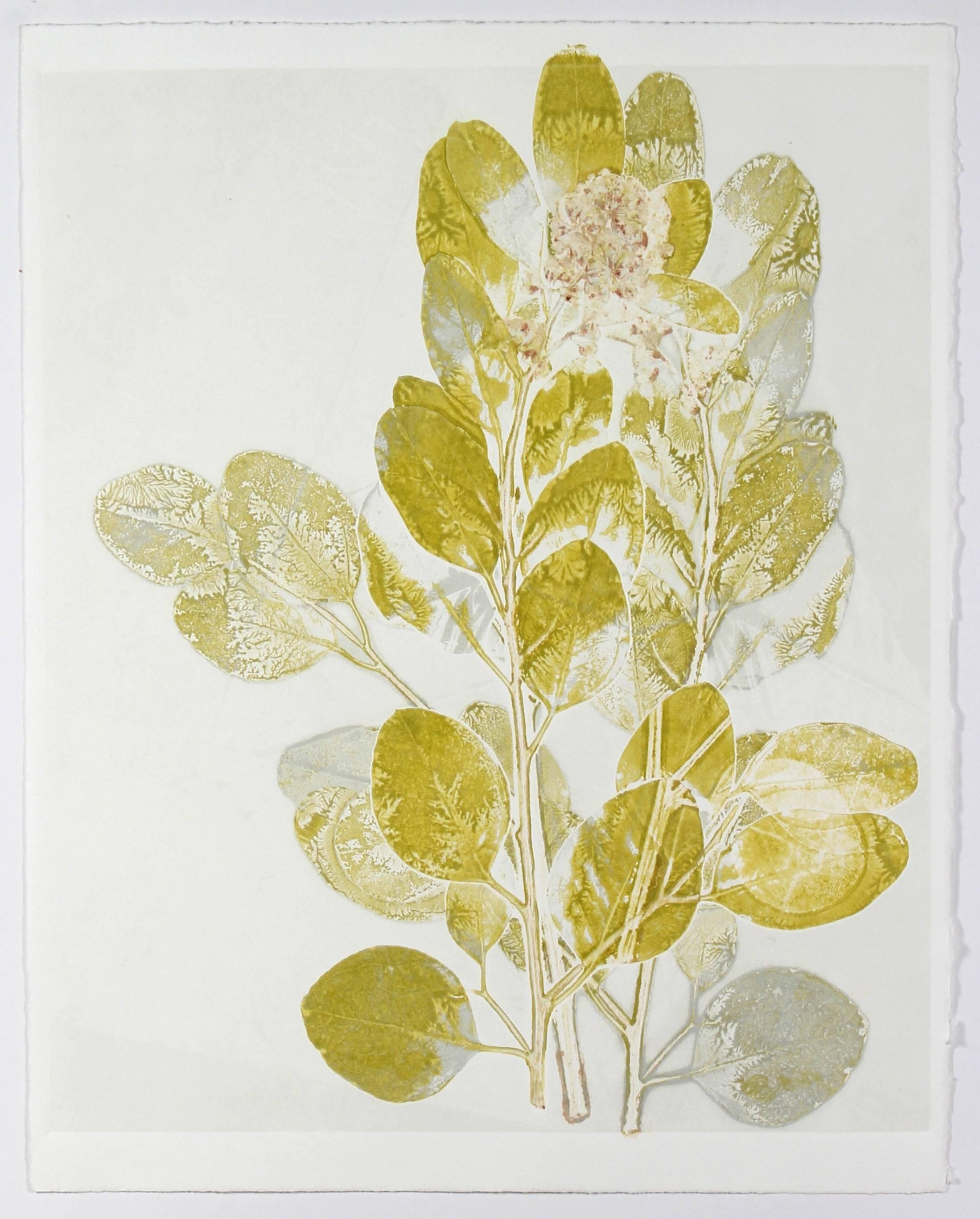 Rob Delamater Still-Life Print - "Yellow Eucalyptus", Monotype, 2012