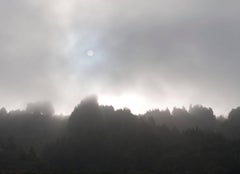 "Early Morning Sun & Fog", Northern California Coast. (Framed) Photograph.