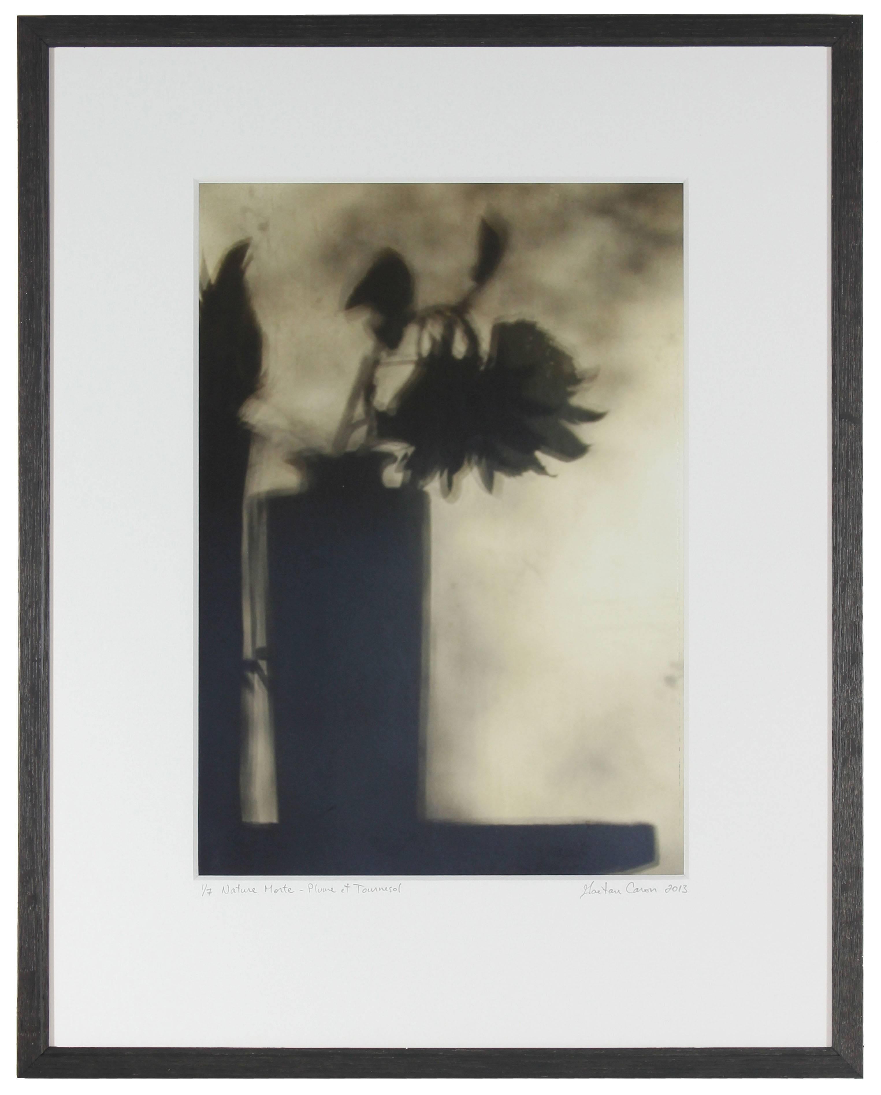 Please allow at least 14 days for printing and framing before a piece is shipped.

Entitled "Still Life with Feather & Sunflower" (Nature morte avec plum et tournes), this 2013 archival photograph on Hahnemuhle Fine Art Pearl paper is