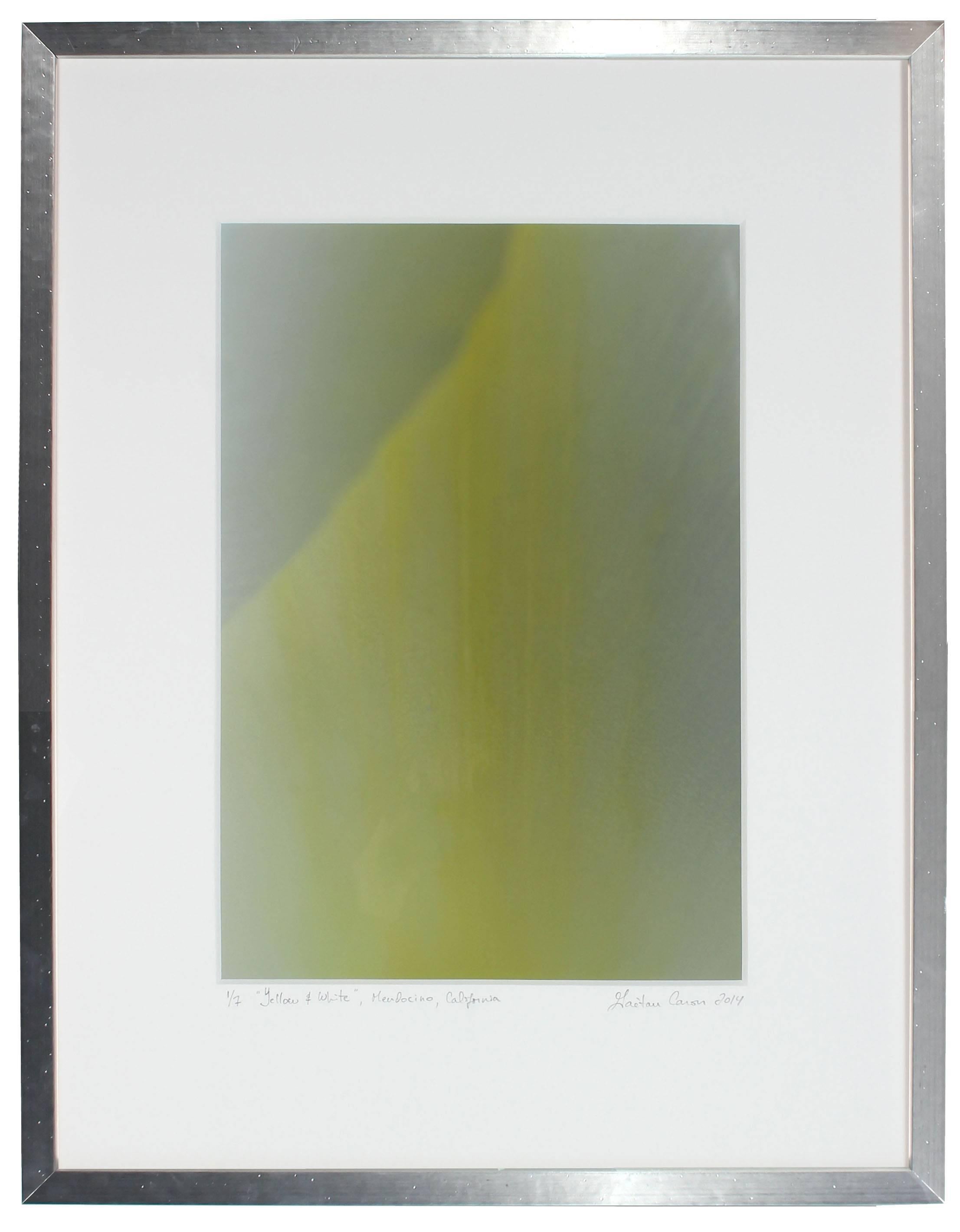 Please allow at least 14 days for printing and framing before a piece is shipped.

Entitled"Yellow & White", this 2014 archival photograph on Hahnemuhle Fine Art Pearl paper is by contemporary Mendocino/Bay Area artist, Gaétan Caron