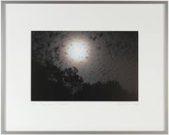 „Clair de Lune (Moonlight)“ Mendocino, CA, Fotografie, 2012