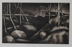 "Central Park II" Etching 3