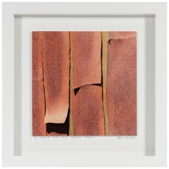 "Texture 5: Madrone Bark" Mendocino, California