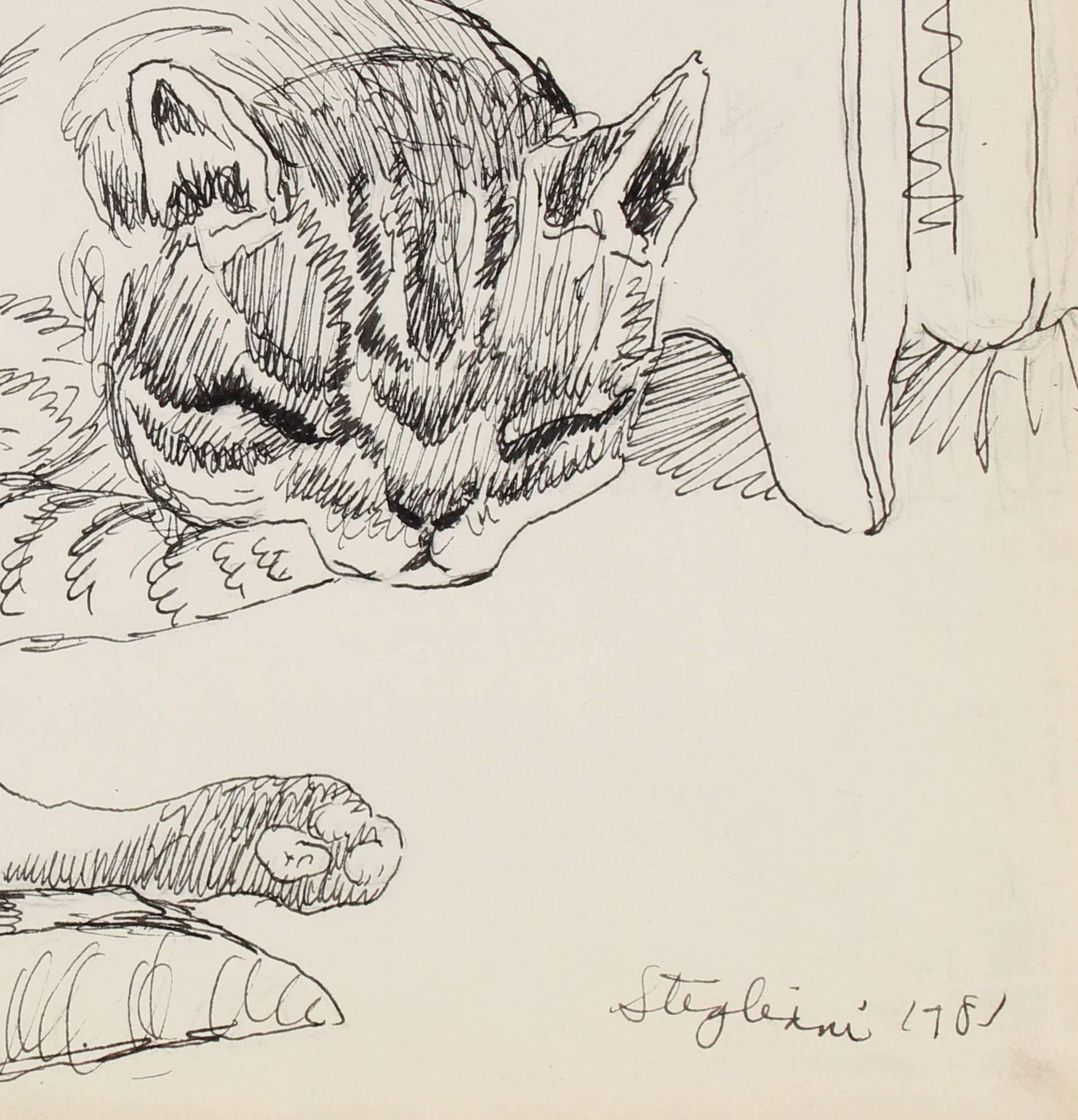 Sleeping Cat, Ink Study - Art by Pasquale Patrick Stigliani