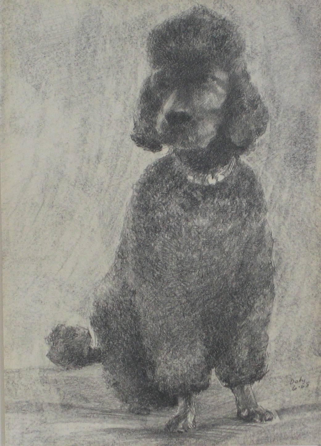 Portrait of a Black Poodle in Charcoal, 1968 - Art by Neal Doty