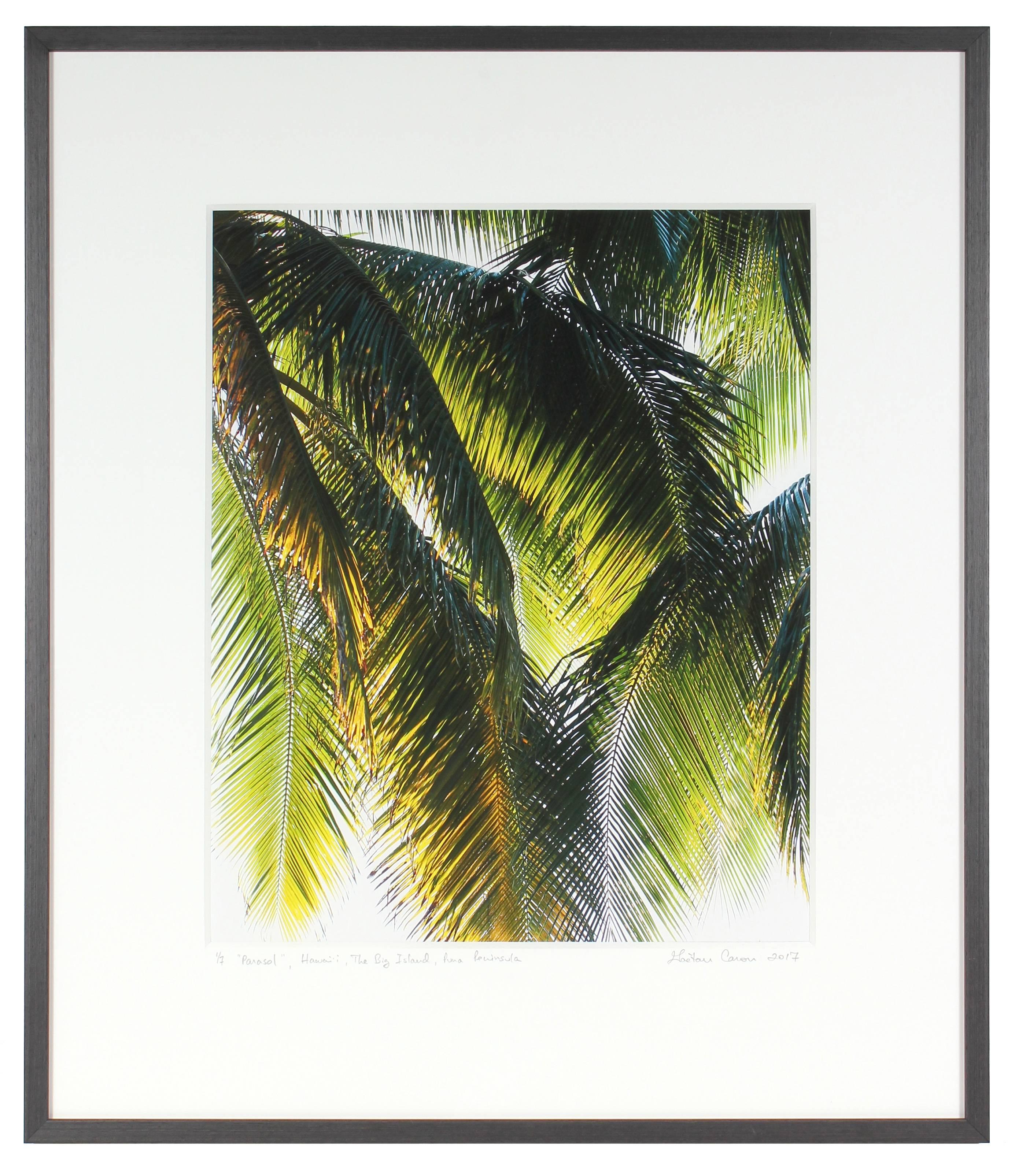 „“Parasol““ Puna Peninsula, Hawaii, Fotografie, 2107 – Photograph von Gaétan Caron