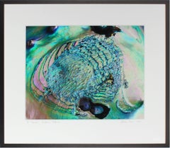 "Poseidon" (Framed) Micro Photograph, Abalone shell, Mendocino beach, California
