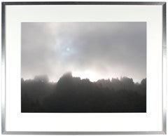 "Early Morning Sun & Fog", Northern California Coast. (Framed) Photograph.