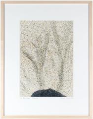 "Año Nuevo" Fotografía abstracta de arena, Mendocino, California, 2013