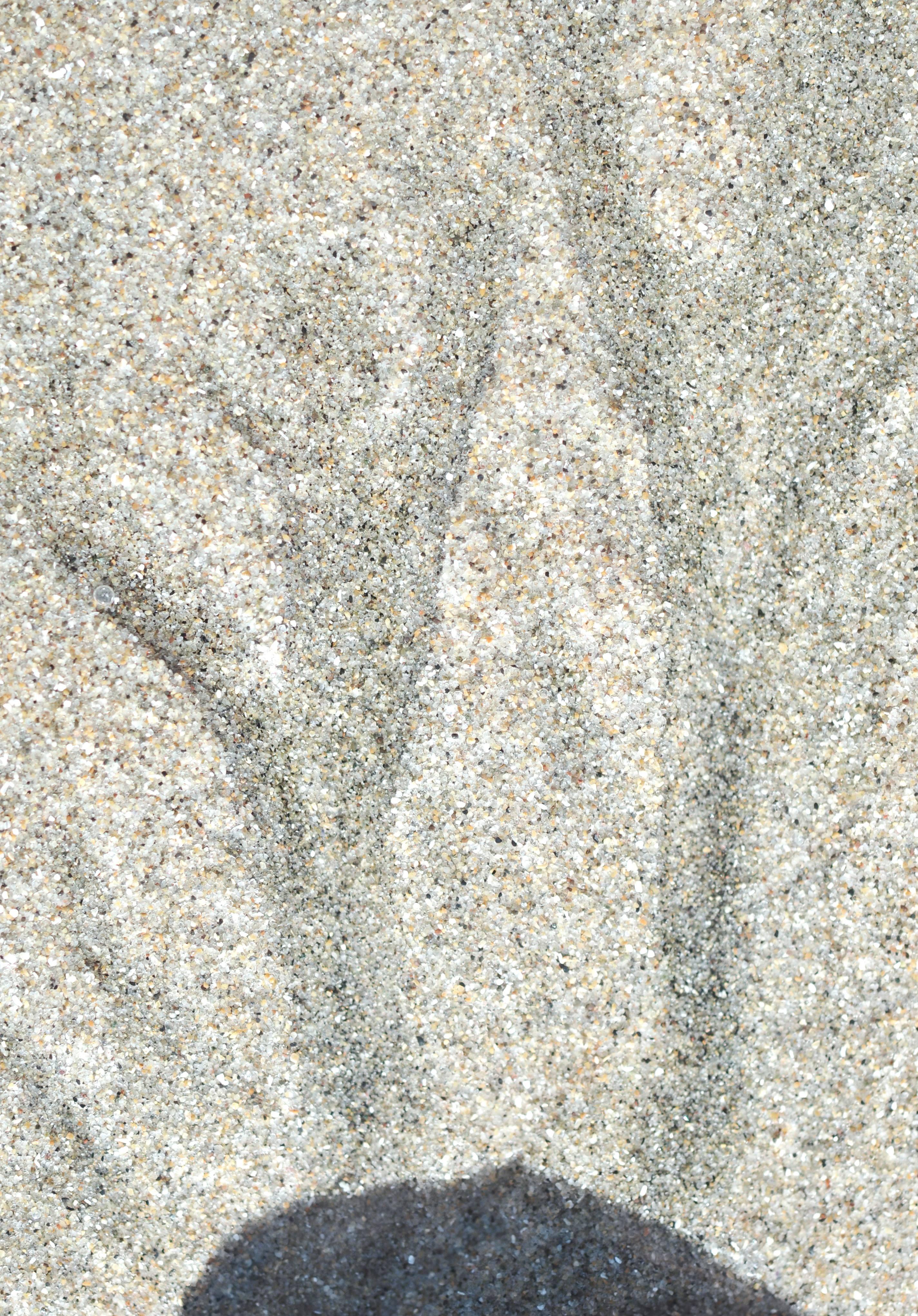 "Año Nuevo" Abstract Sand Photograph, Mendocino, California, 2013