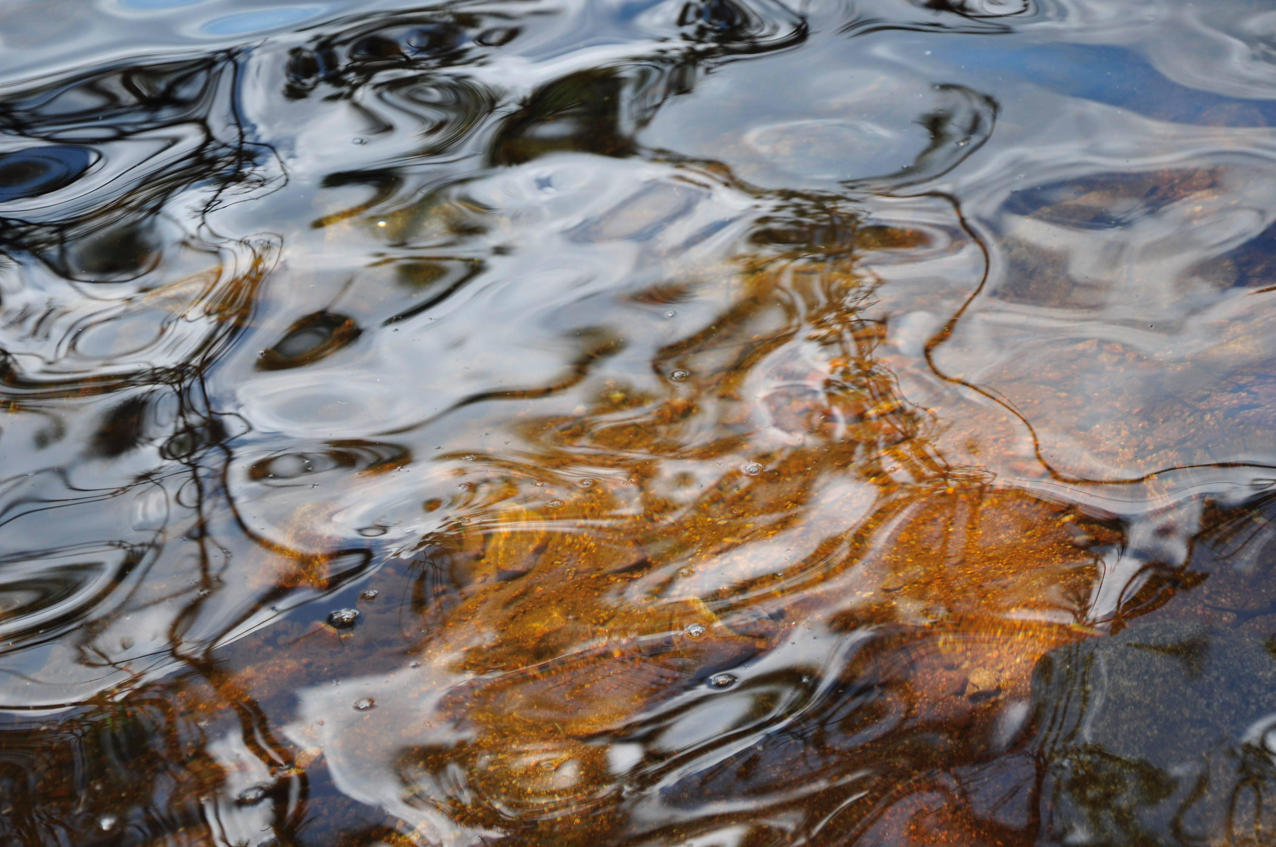 "Like Water, Like Gold" (De l'eau en or), New Hampshire Color Photo, 2013